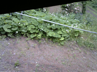 長野県菅平高原 ゆたか山荘 駐車場 2026/06/09 17:15