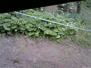 長野県菅平高原 ゆたか山荘 駐車場 2026/06/09 17:30