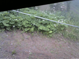 長野県菅平高原 ゆたか山荘 駐車場 2026/06/09 17:45