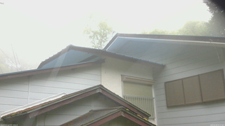 長野県菅平高原 ゆたか山荘 駐車場奥 2026/06/09 05:15