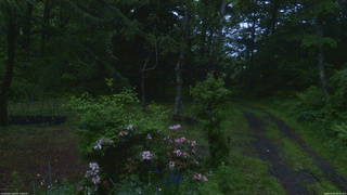 長野県菅平高原 ゆたか山荘 坂上 2026/06/09 05:00