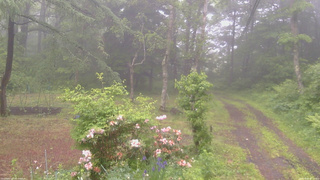 長野県菅平高原 ゆたか山荘 坂上 2026/06/09 07:15