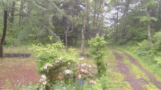 長野県菅平高原 ゆたか山荘 坂上 2026/06/09 07:30