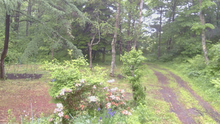 長野県菅平高原 ゆたか山荘 坂上 2026/06/09 07:45