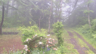 長野県菅平高原 ゆたか山荘 坂上 2026/06/09 08:00