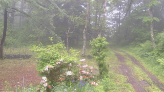 長野県菅平高原 ゆたか山荘 坂上 2026/06/09 08:15