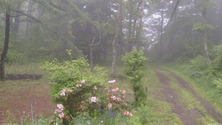 長野県菅平高原 ゆたか山荘 坂上 2026/06/09 08:30