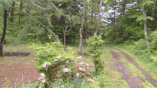 長野県菅平高原 ゆたか山荘 坂上 2026/06/09 08:45