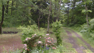 長野県菅平高原 ゆたか山荘 坂上 2026/06/09 09:15