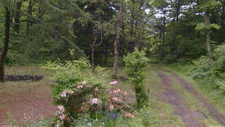 長野県菅平高原 ゆたか山荘 坂上 2026/06/09 09:30