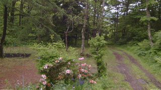 長野県菅平高原 ゆたか山荘 坂上 2026/06/09 09:45