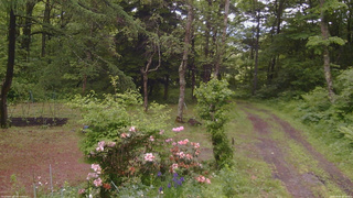 長野県菅平高原 ゆたか山荘 坂上 2026/06/09 10:00