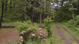 長野県菅平高原 ゆたか山荘 坂上 2026/06/09 10:45