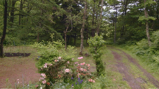 長野県菅平高原 ゆたか山荘 坂上 2026/06/09 12:15