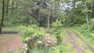 長野県菅平高原 ゆたか山荘 坂上 2026/06/09 13:00