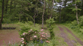 長野県菅平高原 ゆたか山荘 坂上 2026/06/09 15:30