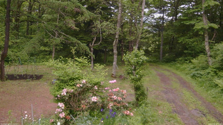 長野県菅平高原 ゆたか山荘 坂上 2026/06/09 16:30