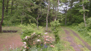 長野県菅平高原 ゆたか山荘 坂上 2026/06/09 17:00