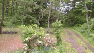 長野県菅平高原 ゆたか山荘 坂上 2026/06/09 17:15