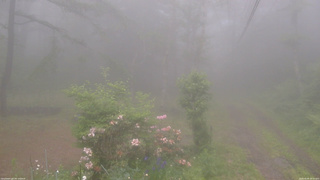 長野県菅平高原 ゆたか山荘 坂上 2026/06/09 18:00
