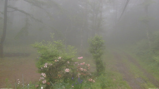 長野県菅平高原 ゆたか山荘 坂上 2026/06/09 18:15