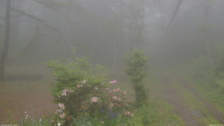 長野県菅平高原 ゆたか山荘 坂上 2026/06/09 18:30
