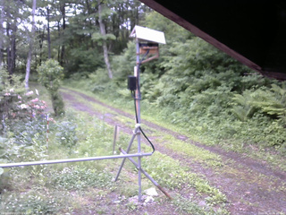 長野県菅平高原 ゆたか山荘 南側 2026/06/10 06:45