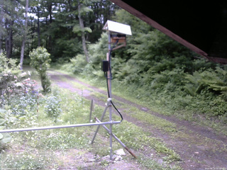 長野県菅平高原 ゆたか山荘 南側 2026/06/10 11:00