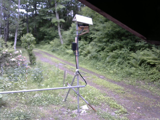 長野県菅平高原 ゆたか山荘 南側 2026/06/10 12:15