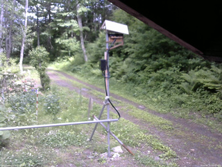 長野県菅平高原 ゆたか山荘 南側 2026/06/10 13:45