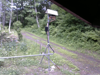 長野県菅平高原 ゆたか山荘 南側 2026/06/10 14:15