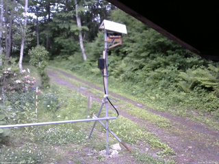 長野県菅平高原 ゆたか山荘 南側 2026/06/10 15:15