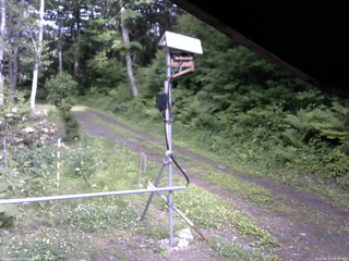 長野県菅平高原 ゆたか山荘 南側 2026/06/10 15:45