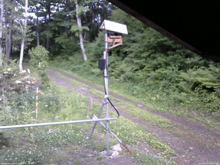 長野県菅平高原 ゆたか山荘 南側 2026/06/10 16:15