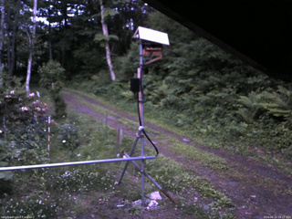 長野県菅平高原 ゆたか山荘 南側 2026/06/10 19:15