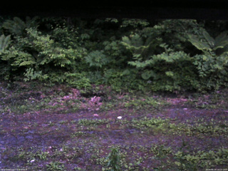 長野県菅平高原 ゆたか山荘 東側(坂下) 2026/06/10 19:15