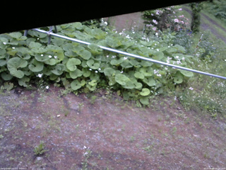 長野県菅平高原 ゆたか山荘 駐車場 2026/06/10 05:30