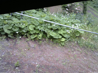 長野県菅平高原 ゆたか山荘 駐車場 2026/06/10 06:30