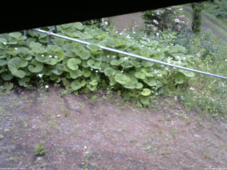 長野県菅平高原 ゆたか山荘 駐車場 2026/06/10 07:00
