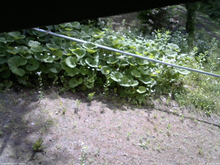 長野県菅平高原 ゆたか山荘 駐車場 2026/06/10 08:15