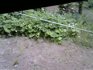 長野県菅平高原 ゆたか山荘 駐車場 2026/06/10 11:00