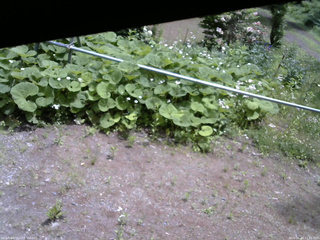 長野県菅平高原 ゆたか山荘 駐車場 2026/06/10 11:15