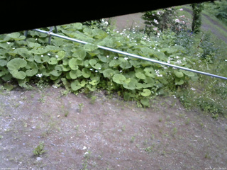 長野県菅平高原 ゆたか山荘 駐車場 2026/06/10 12:30