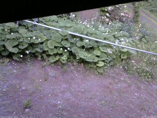 長野県菅平高原 ゆたか山荘 駐車場 2026/06/10 18:45