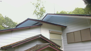 長野県菅平高原 ゆたか山荘 駐車場奥 2026/06/10 05:45