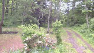 長野県菅平高原 ゆたか山荘 坂上 2026/06/10 07:00