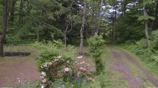 長野県菅平高原 ゆたか山荘 坂上 2026/06/10 09:30