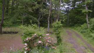 長野県菅平高原 ゆたか山荘 坂上 2026/06/10 09:45