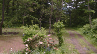 長野県菅平高原 ゆたか山荘 坂上 2026/06/10 11:00