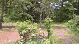 長野県菅平高原 ゆたか山荘 坂上 2026/06/10 11:45